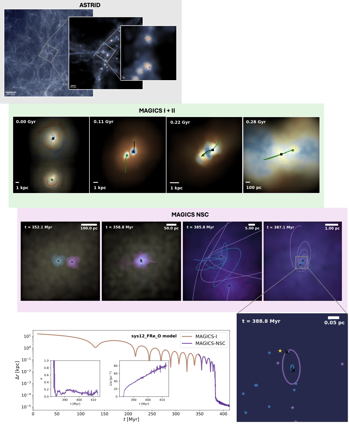 MBH-NSC evolution